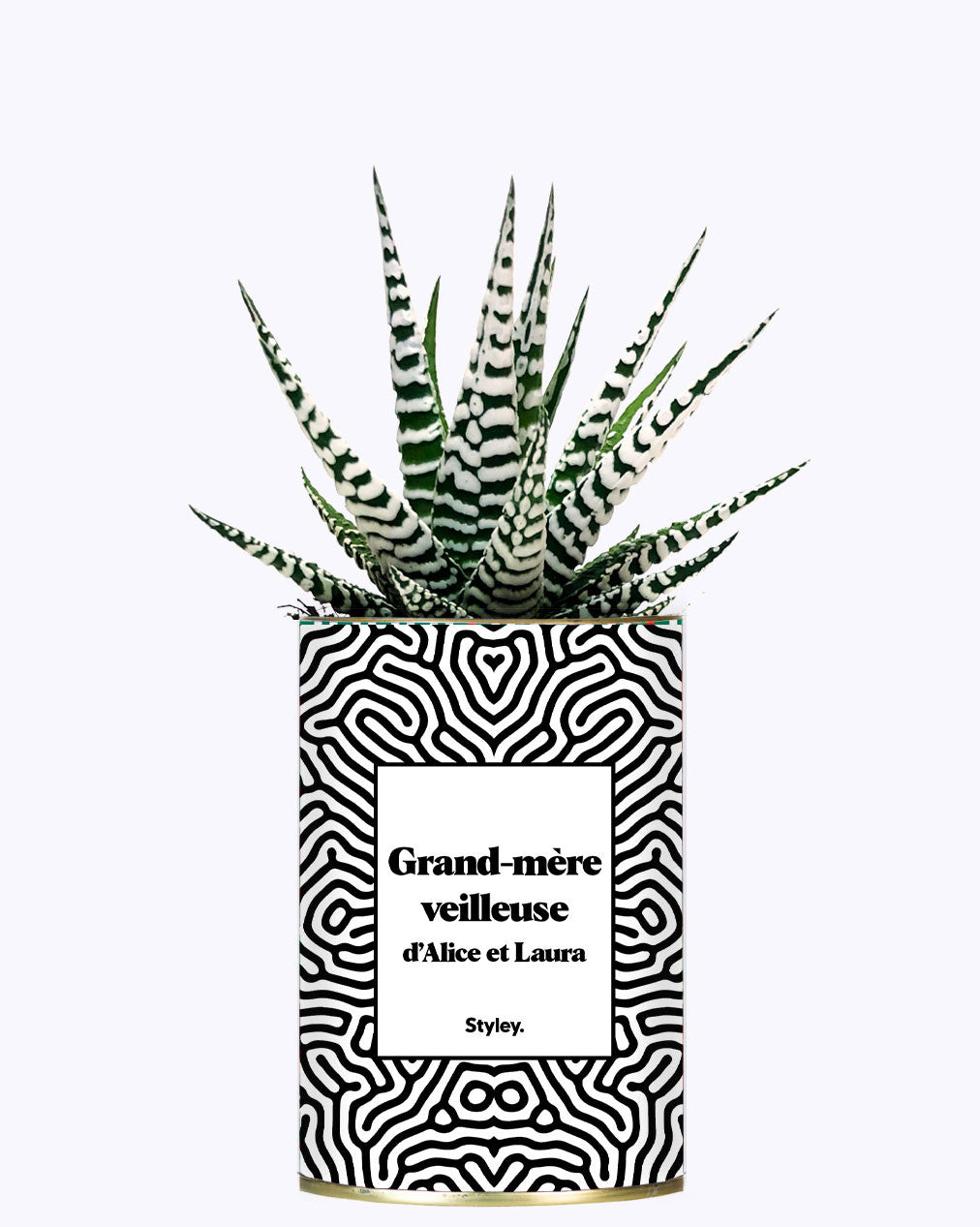 Grand-mère personnalisable  - Cactus