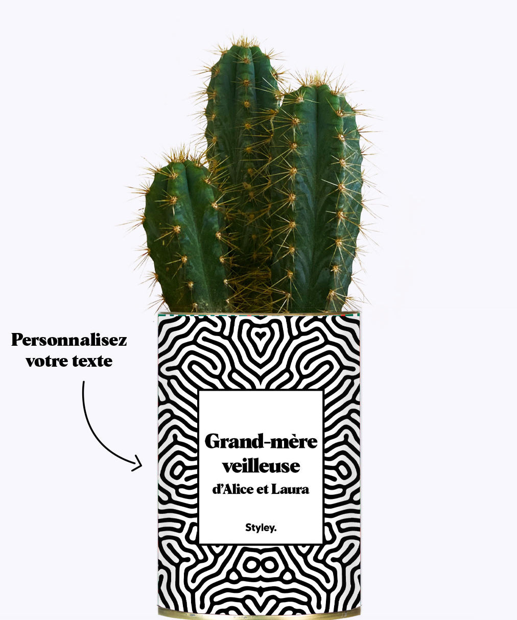 Grand-mère personnalisable  - Cactus