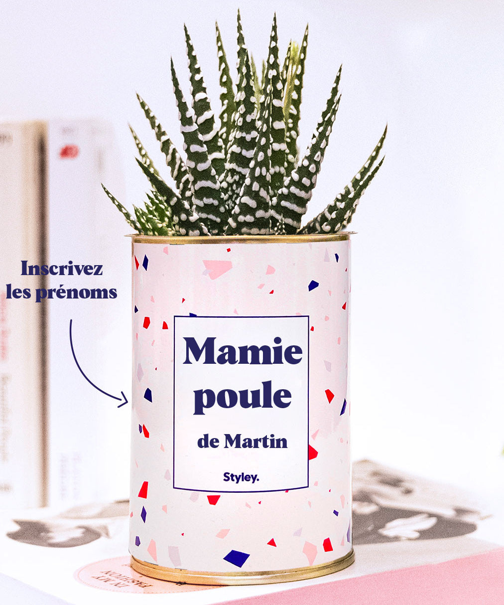 Mamie poule personnalisable  - Cactus