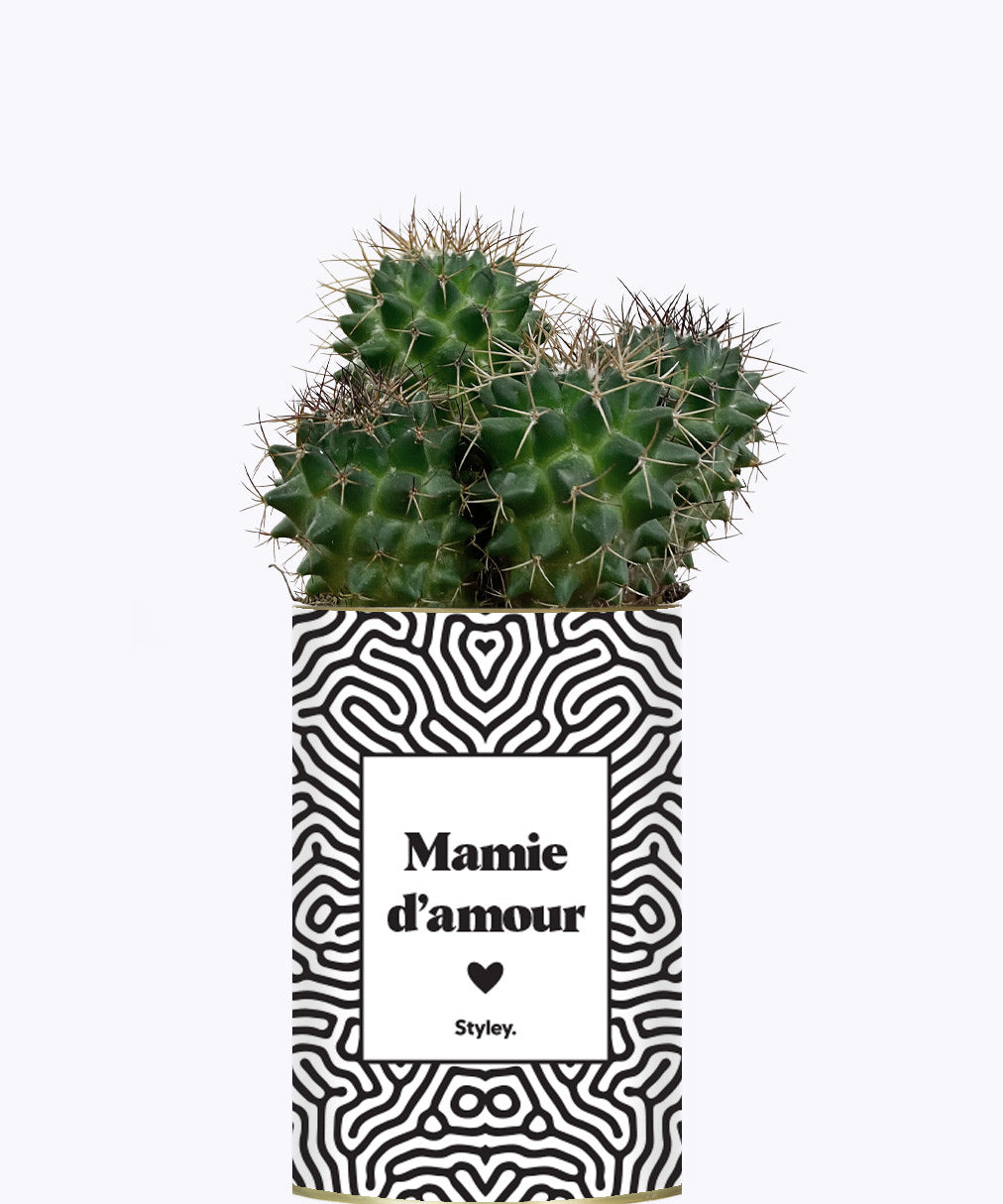 Mamie d'amour - Cactus