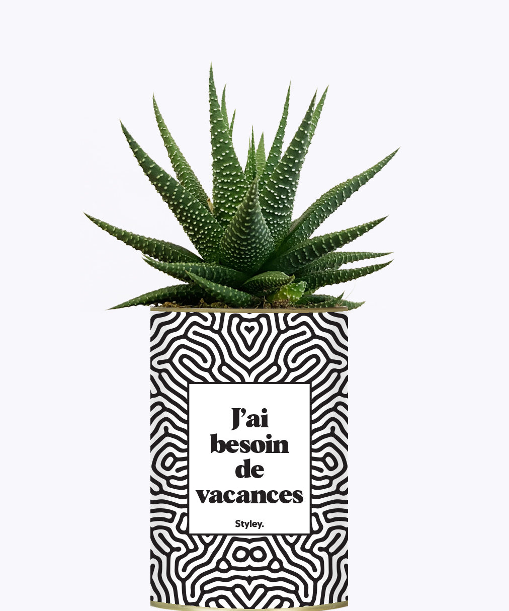 J'ai besoin de vacances - Plante