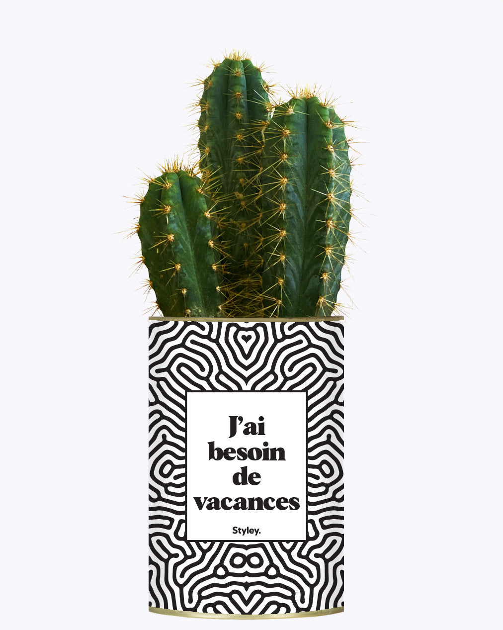 J'ai besoin de vacances - Plante