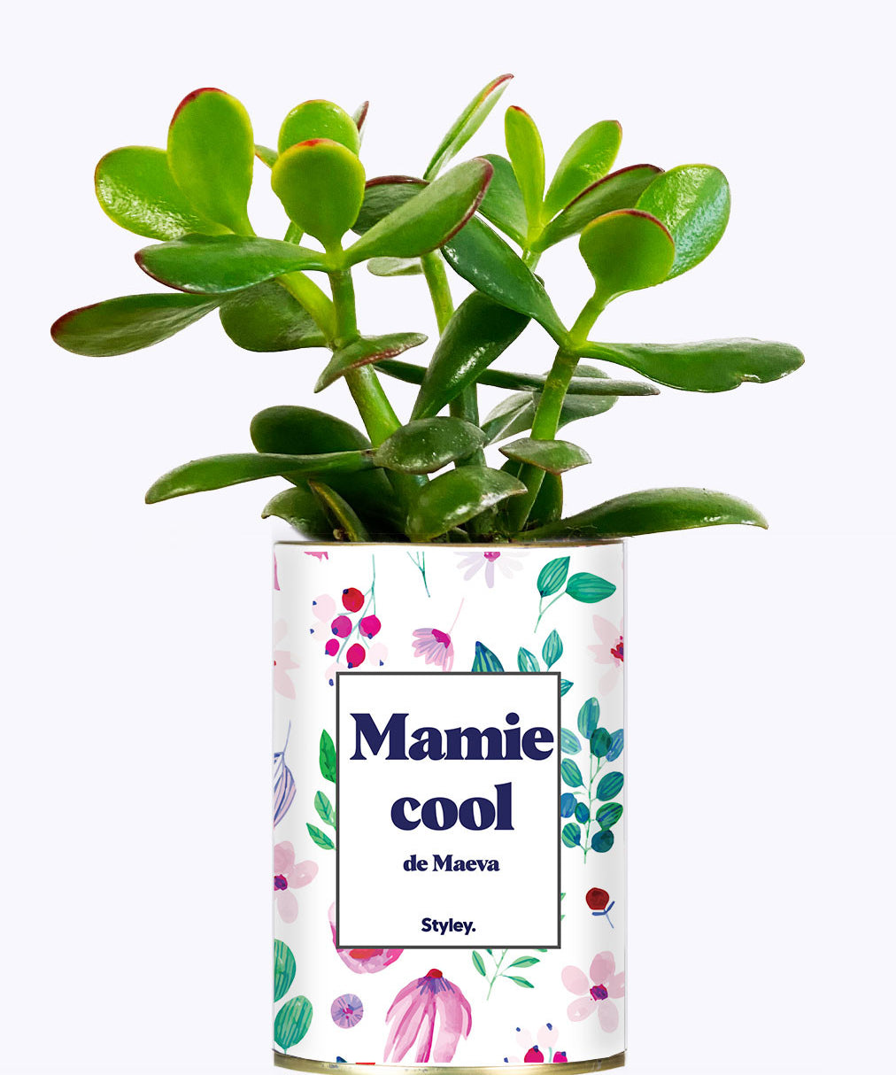 Mamie cool personnalisable  - Cactus