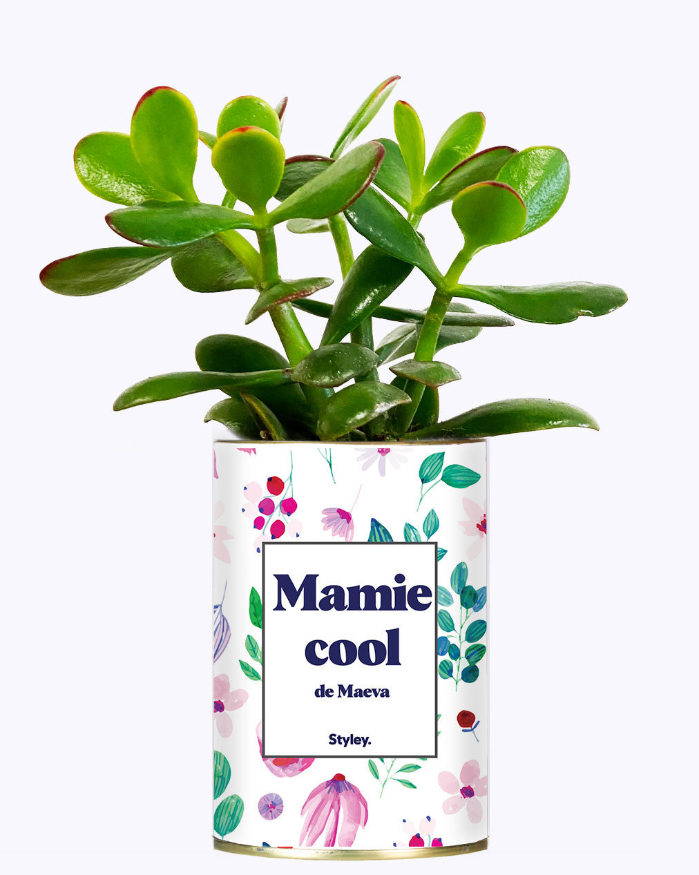 Mamie cool personnalisable  - Cactus