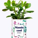 Mamie cool personnalisable  - Cactus