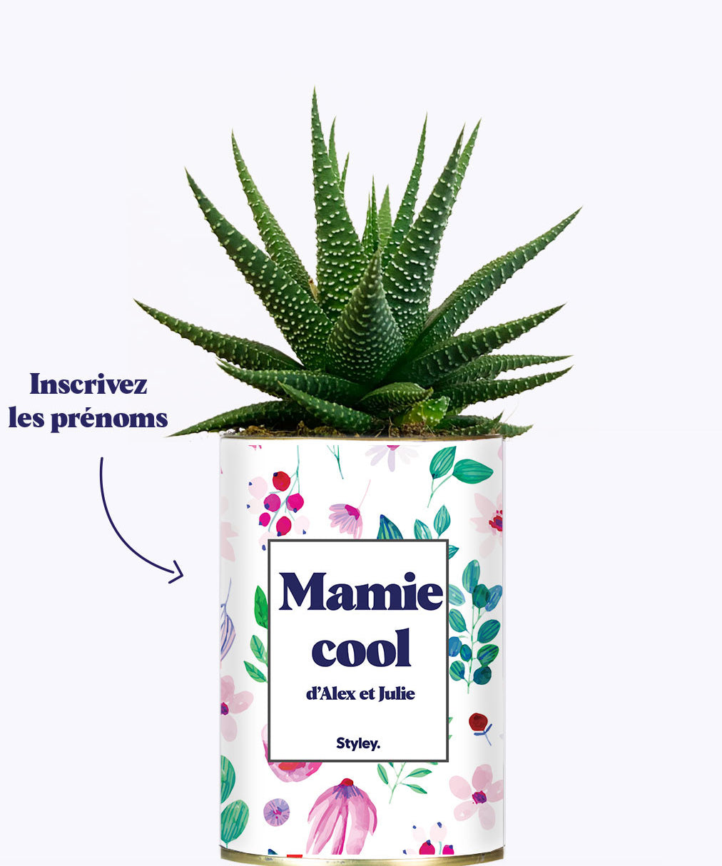 Mamie cool personnalisable  - Cactus
