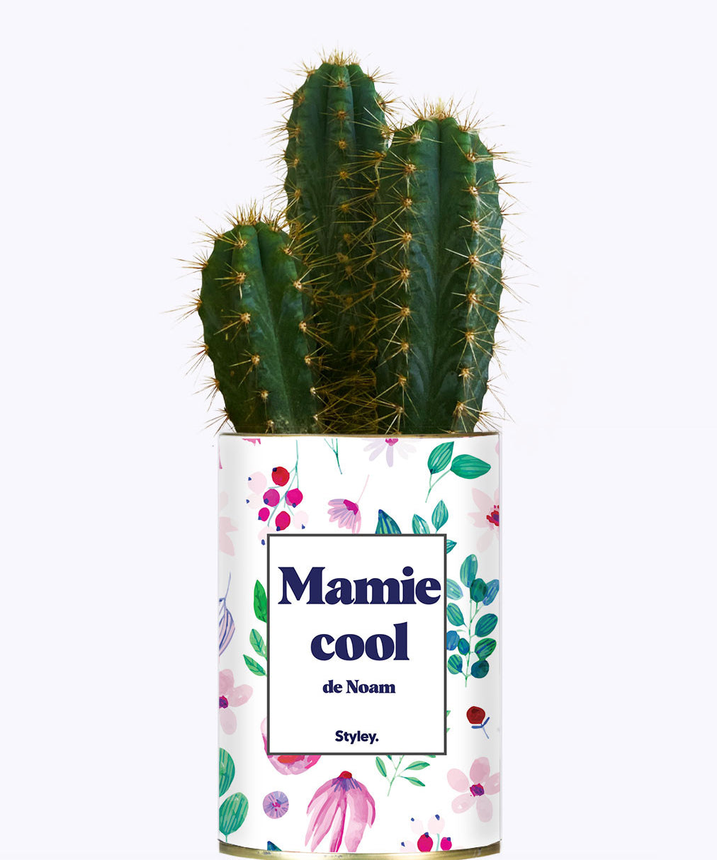 Mamie cool personnalisable  - Cactus