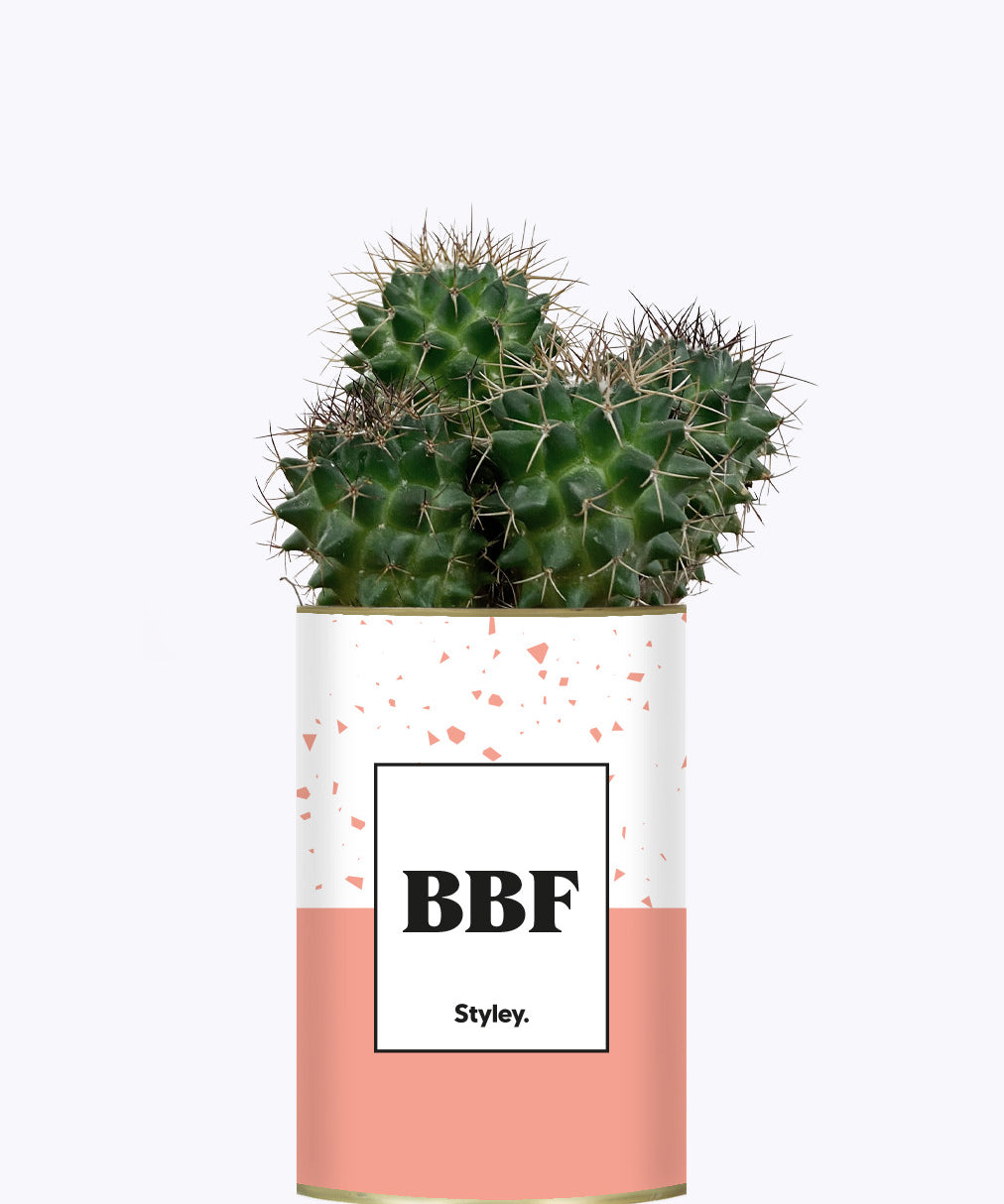 BFF - Plante