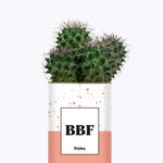 BFF - Plante