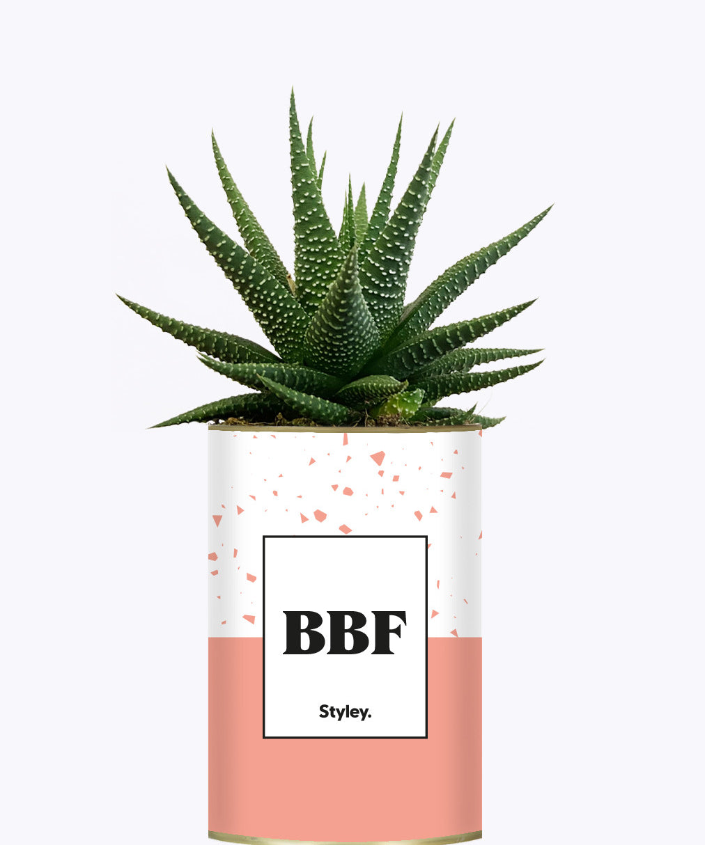 BFF - Plante