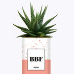 BFF - Plante