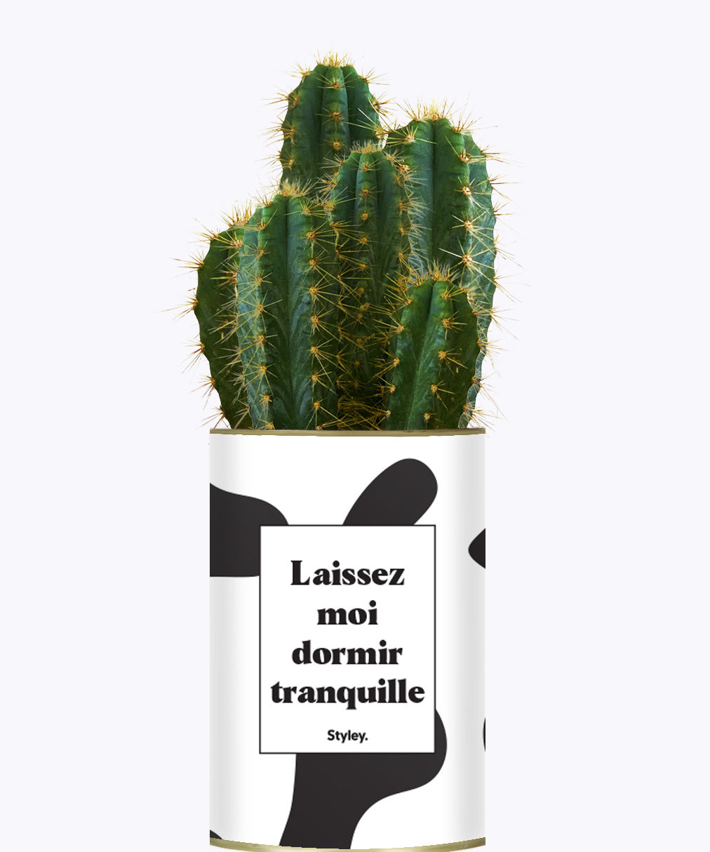 Laissez moi dormir tranquille - Plante