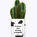 Laissez moi dormir tranquille - Plante