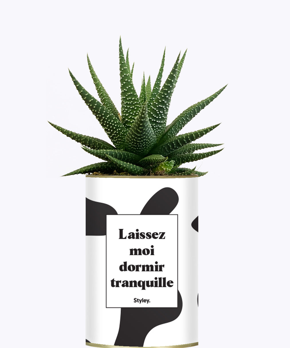 Laissez moi dormir tranquille - Plante