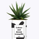 Laissez moi dormir tranquille - Plante