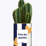 Vive les mariés - Plante