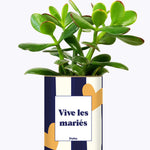 Vive les mariés - Plante