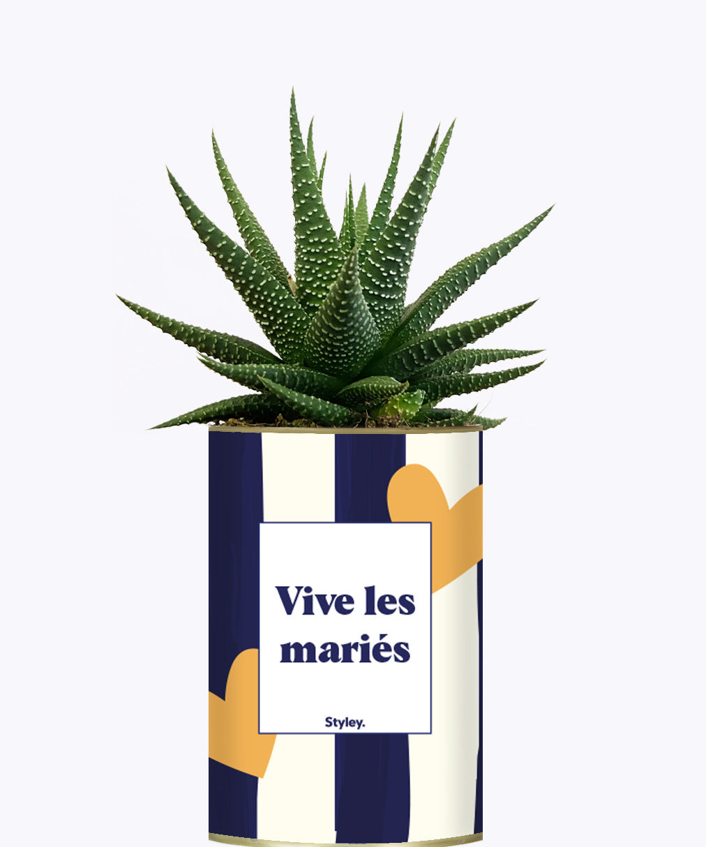 Vive les mariés - Plante