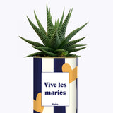 Vive les mariés - Plante