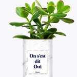 On s'est dit oui - Plante