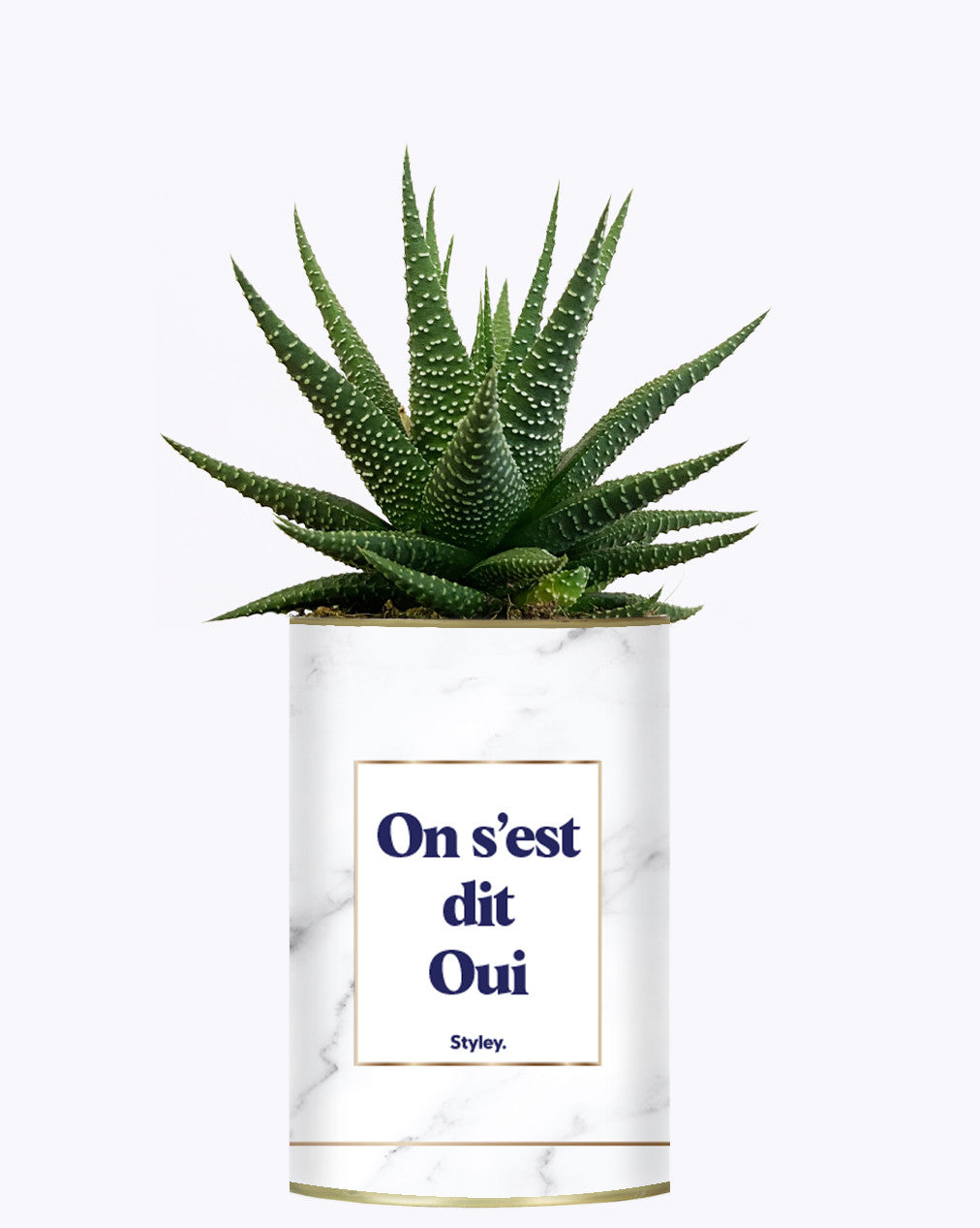 On s'est dit oui - Plante