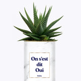 On s'est dit oui - Plante