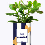 Just married - Plante