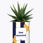 Just married - Plante