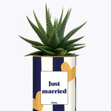 Just married - Plante