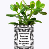 Ils vécurent heureux et eurent beaucoup de plantes - Plante