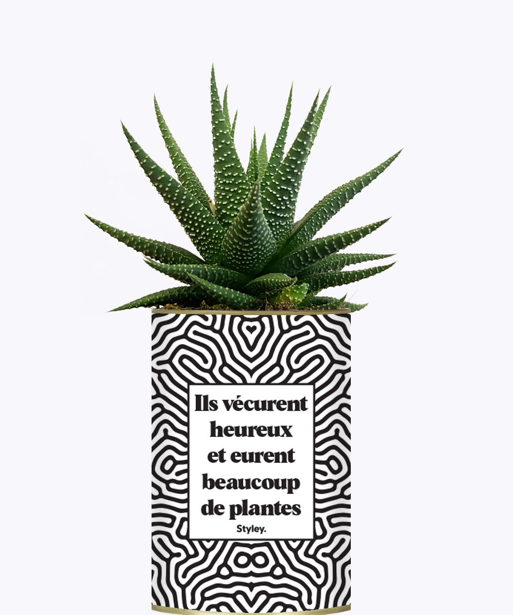 Ils vécurent heureux et eurent beaucoup de plantes - Plante