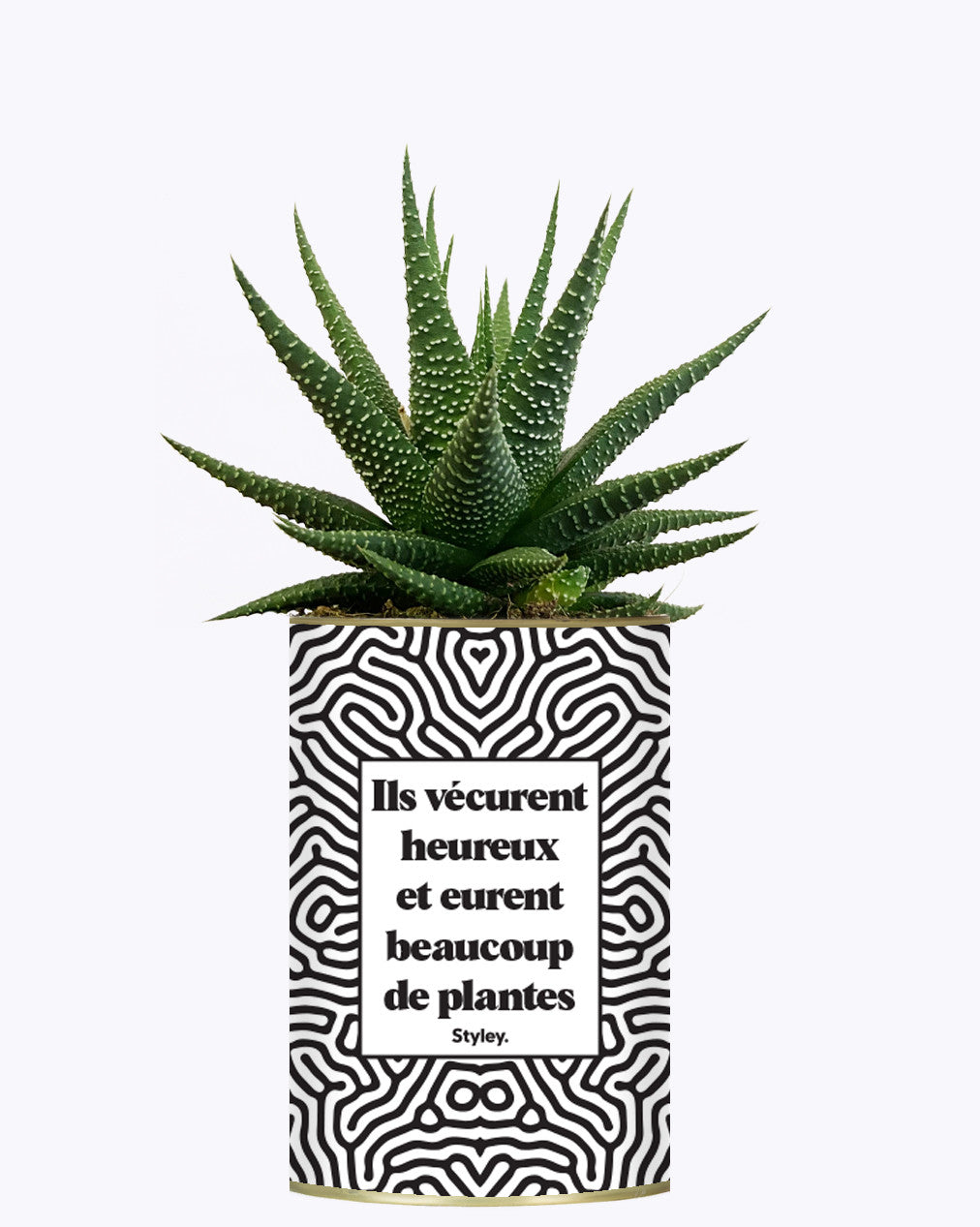 Ils vécurent heureux et eurent beaucoup de plantes - Plante