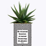 Ils vécurent heureux et eurent beaucoup de plantes - Plante