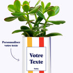 Cactus Venise - Personnalisable