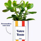Cactus Venise - Personnalisable