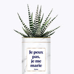 Je peux pas je me marie - Plante