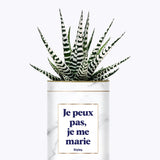 Je peux pas je me marie - Plante