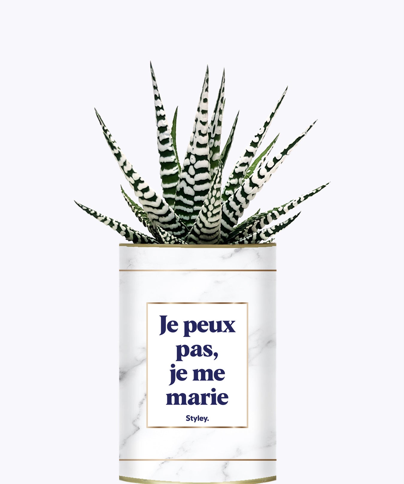 Je peux pas je me marie - Plante
