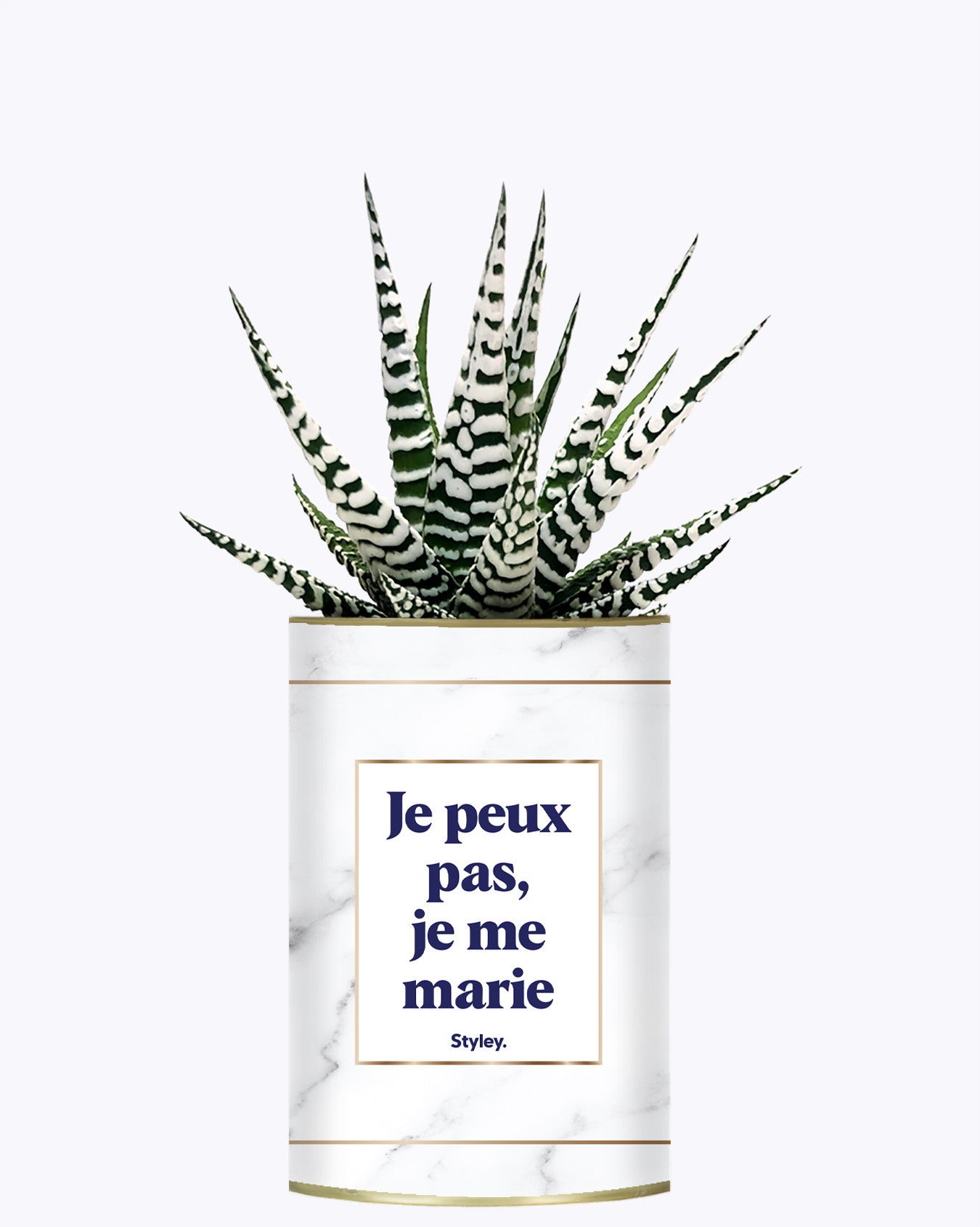 Je peux pas je me marie - Plante
