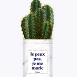 Je peux pas je me marie - Plante