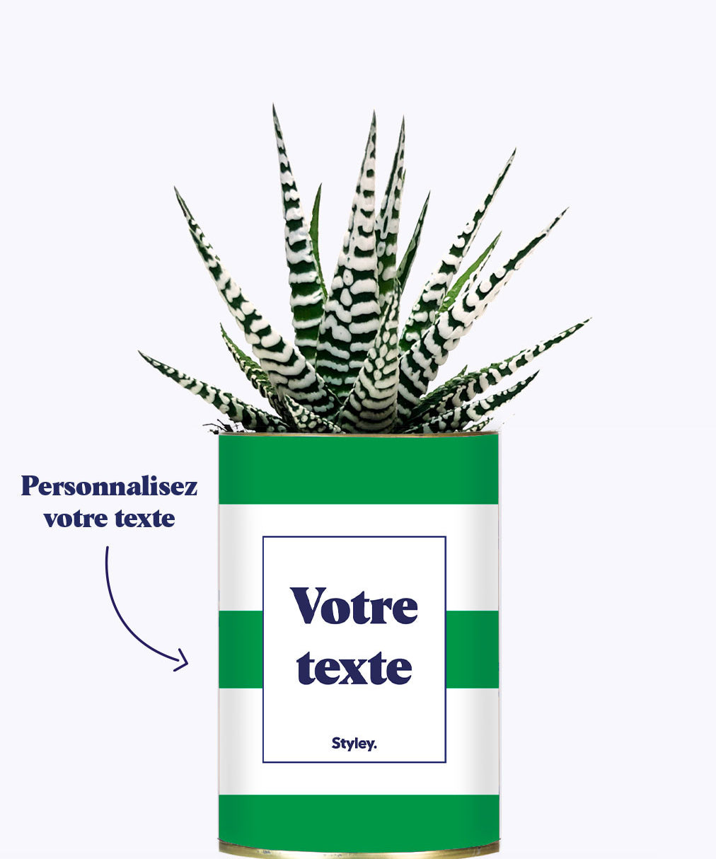 Cactus Mojito - Personnalisable