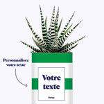 Cactus Mojito - Personnalisable