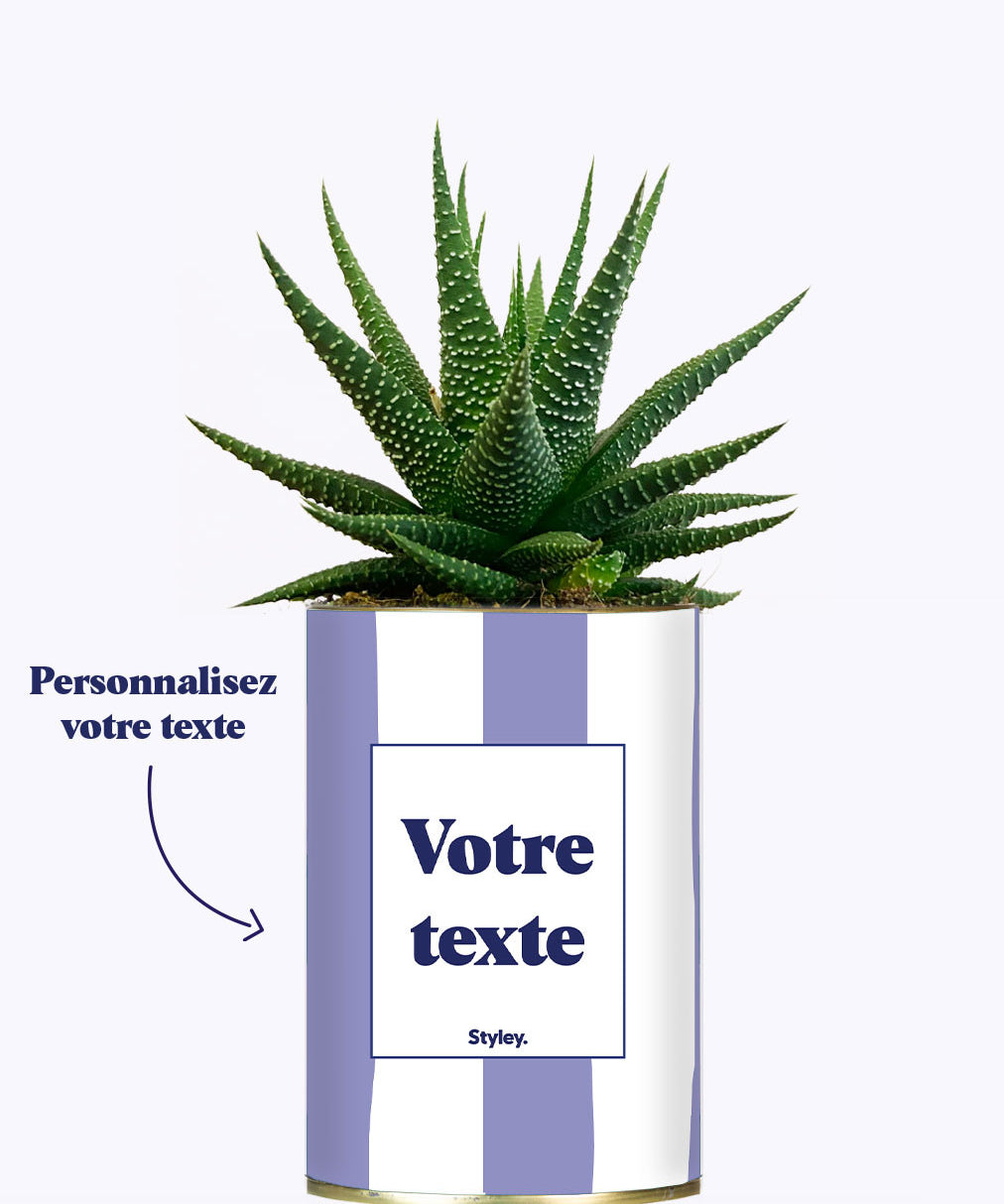 Rayures Parmes - Plante personnalisable