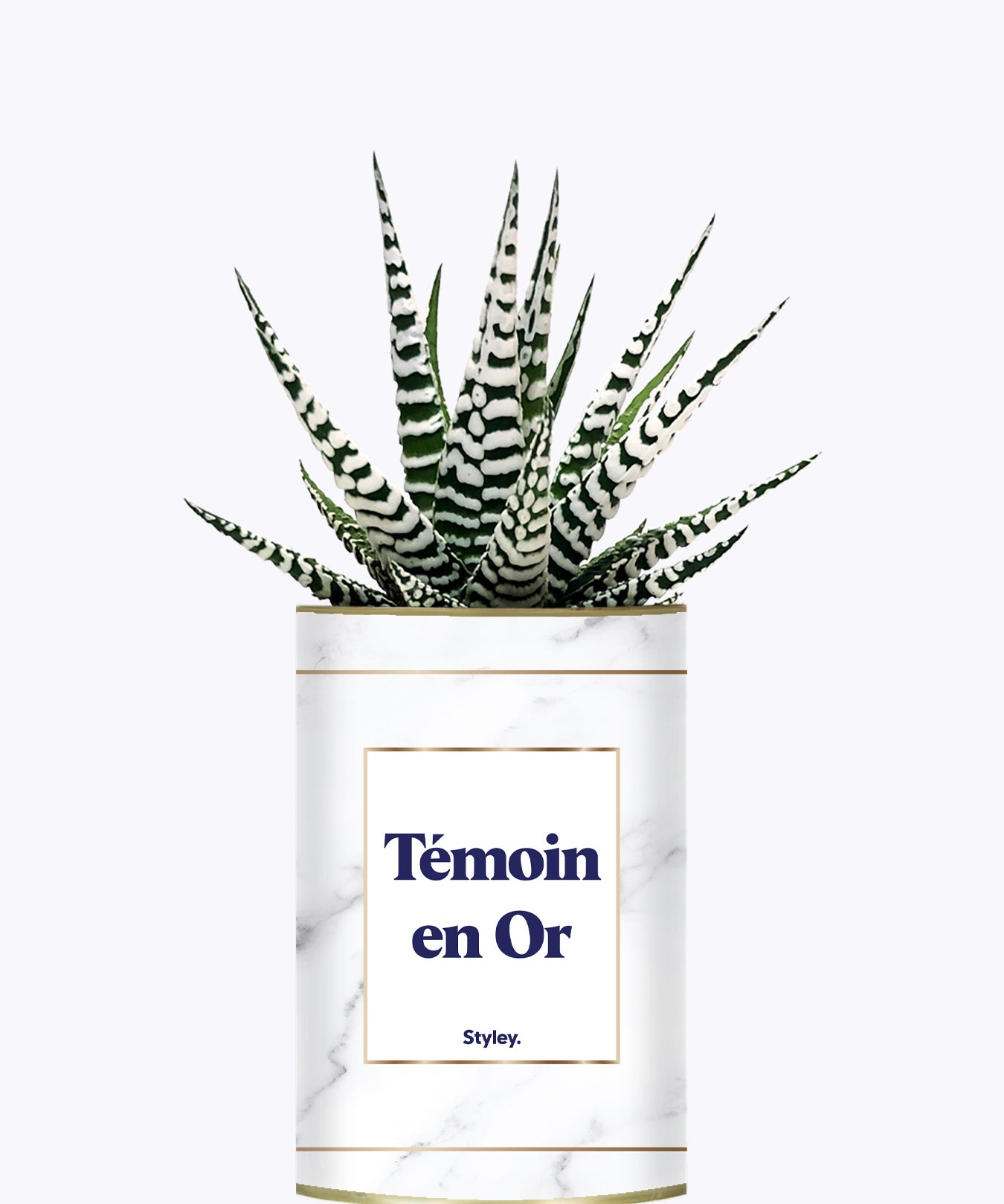 Témoins en Or - Plante