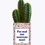 Pas mal ton nouveau mari - Plante