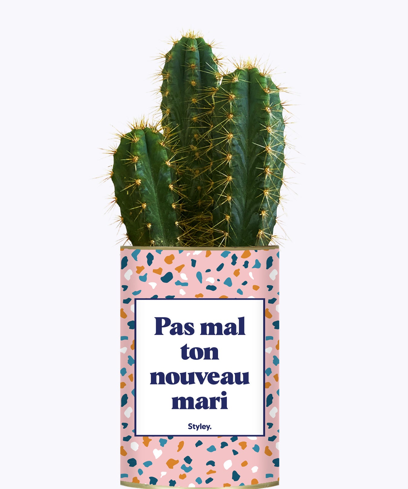 Pas mal ton nouveau mari - Plante