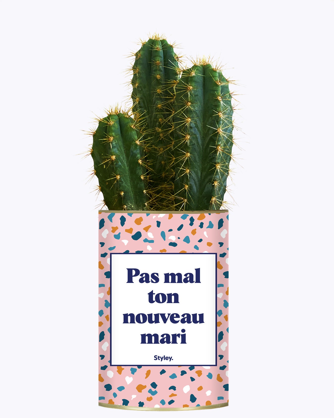 Pas mal ton nouveau mari - Plante