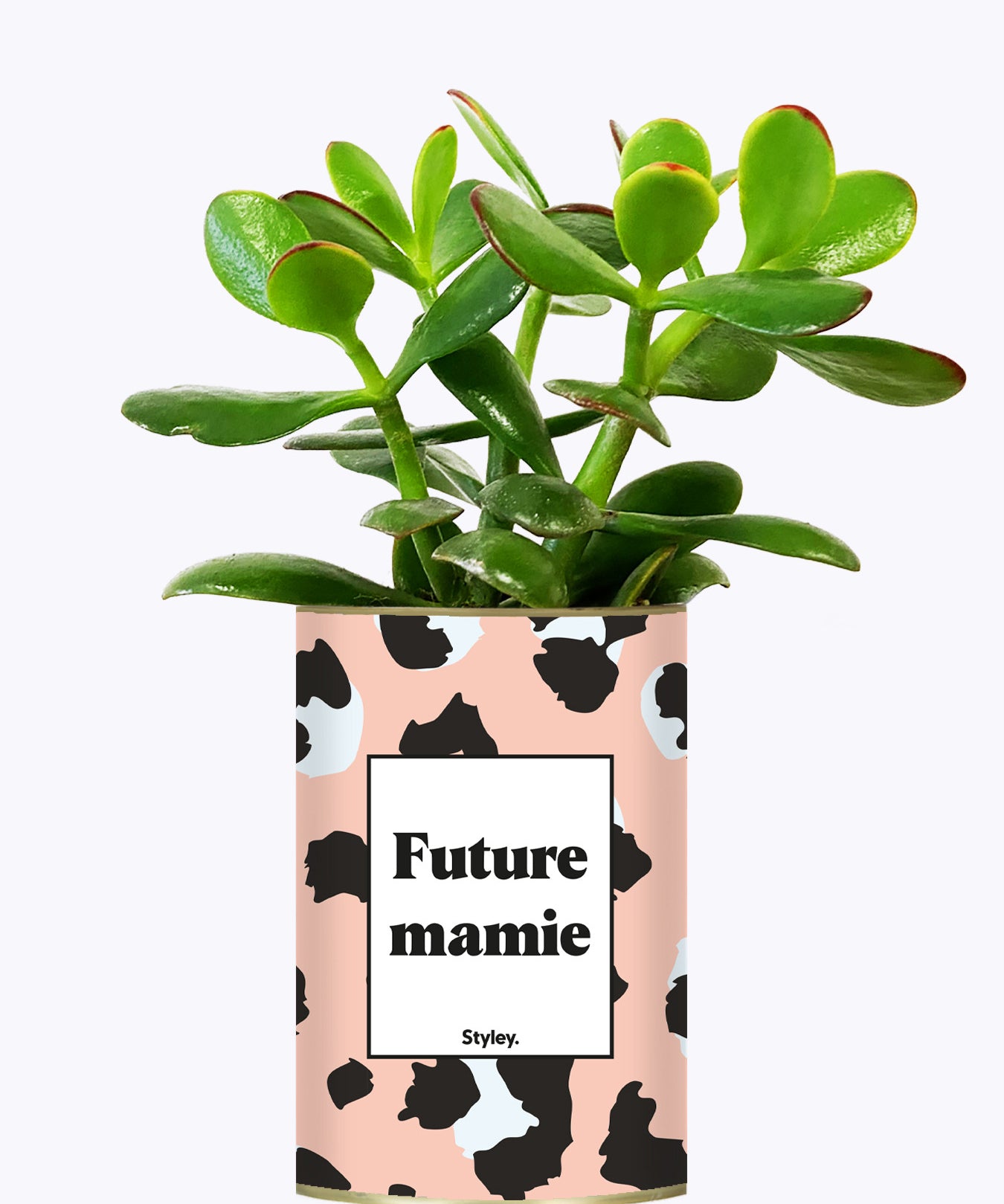 Future mamie - Plante