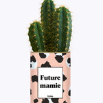 Future mamie - Plante