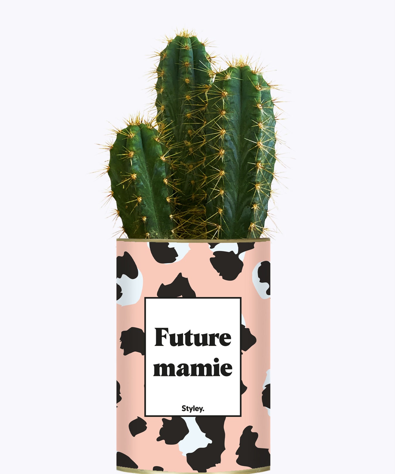 Future mamie - Plante